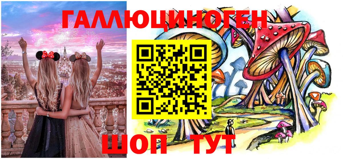 Псилоцибиновые грибы GOLDEN TEACHER  Вход с VPN  Нижний Новгород 